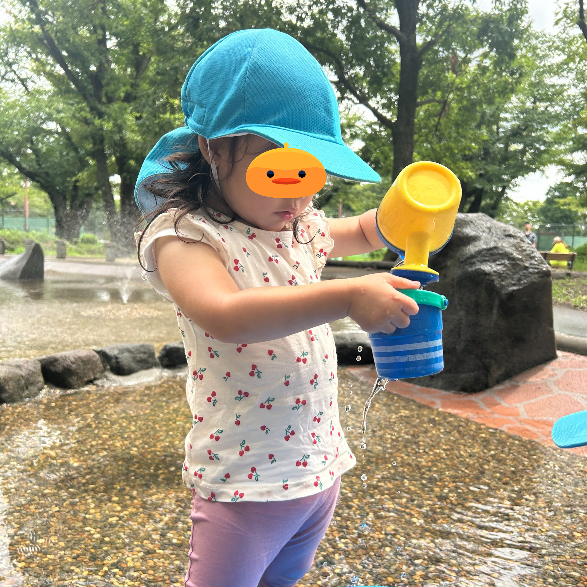 お米が出来るまでの話を聞いています