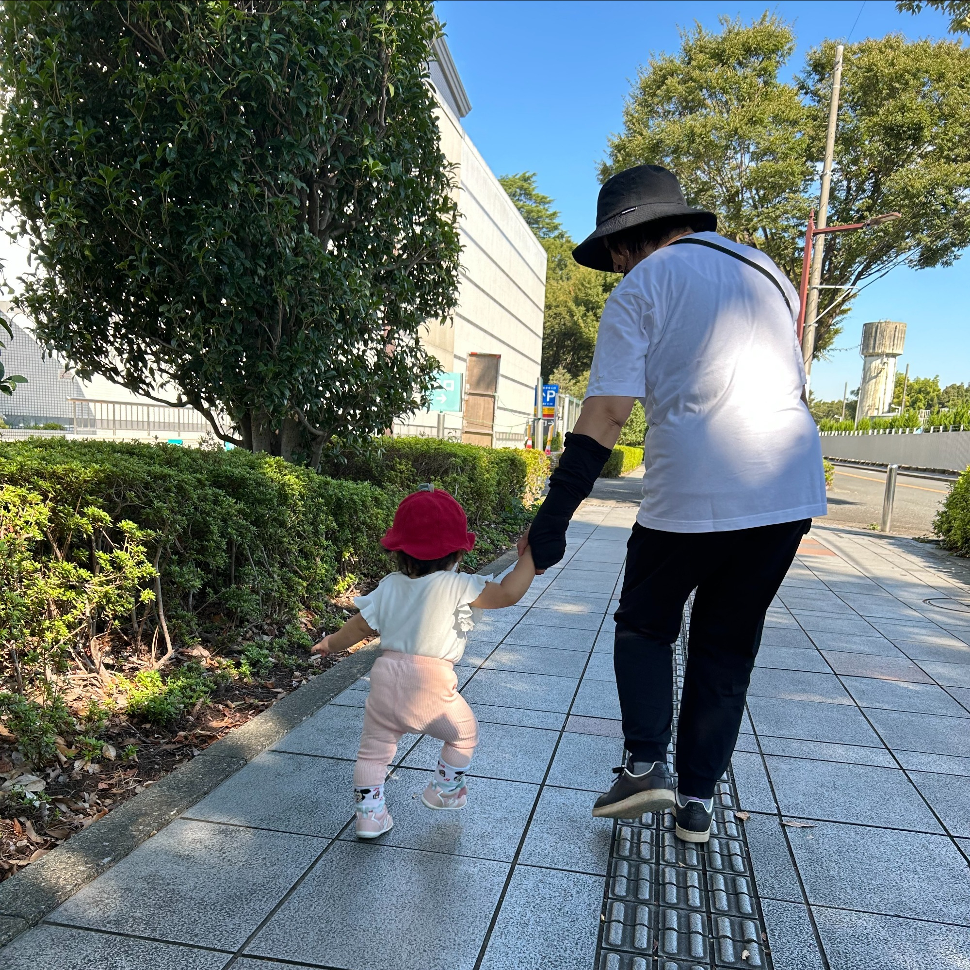 お米が出来るまでの話を聞いています