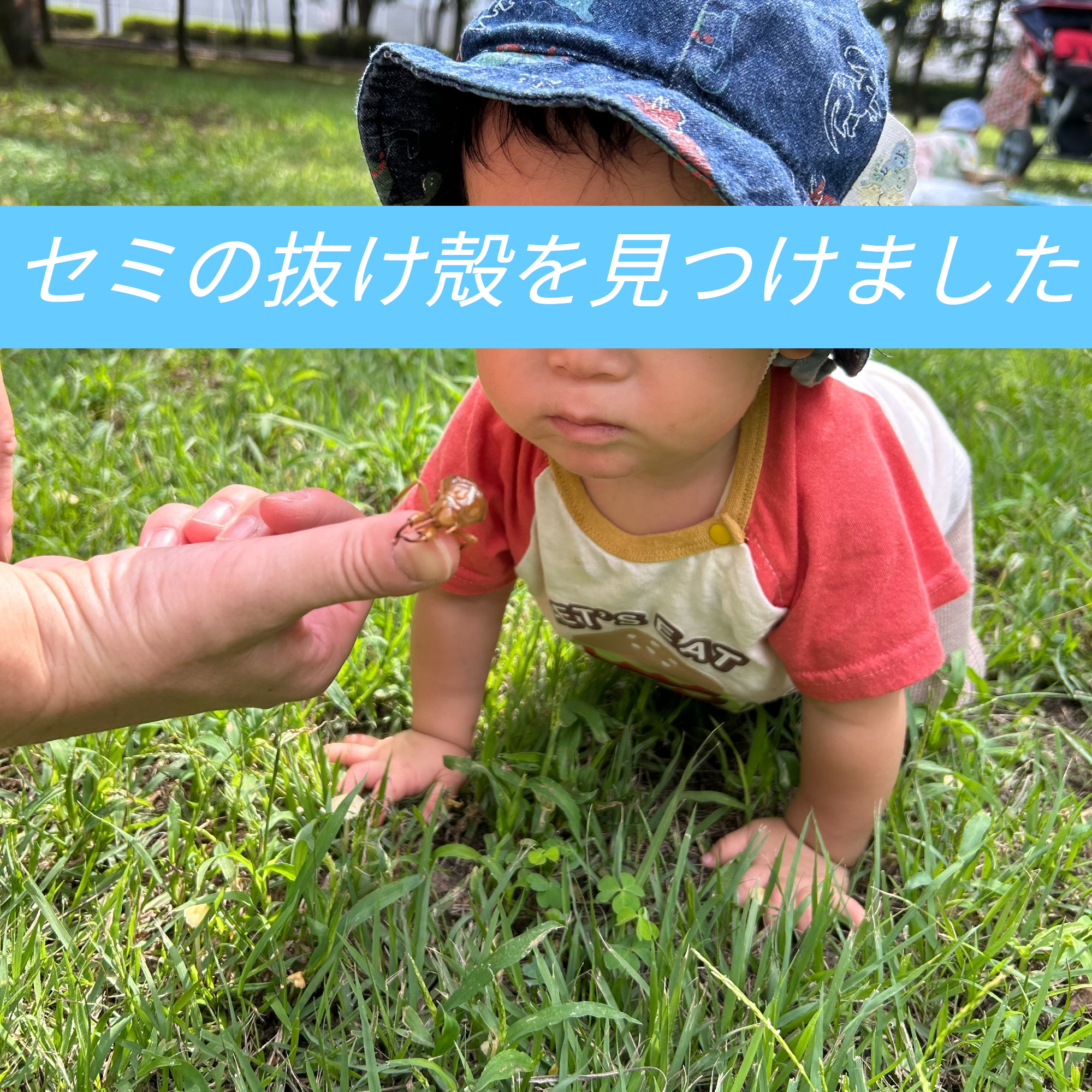 ♪ 10回 ごしごし♪ 「あっ 白くなってるよ」