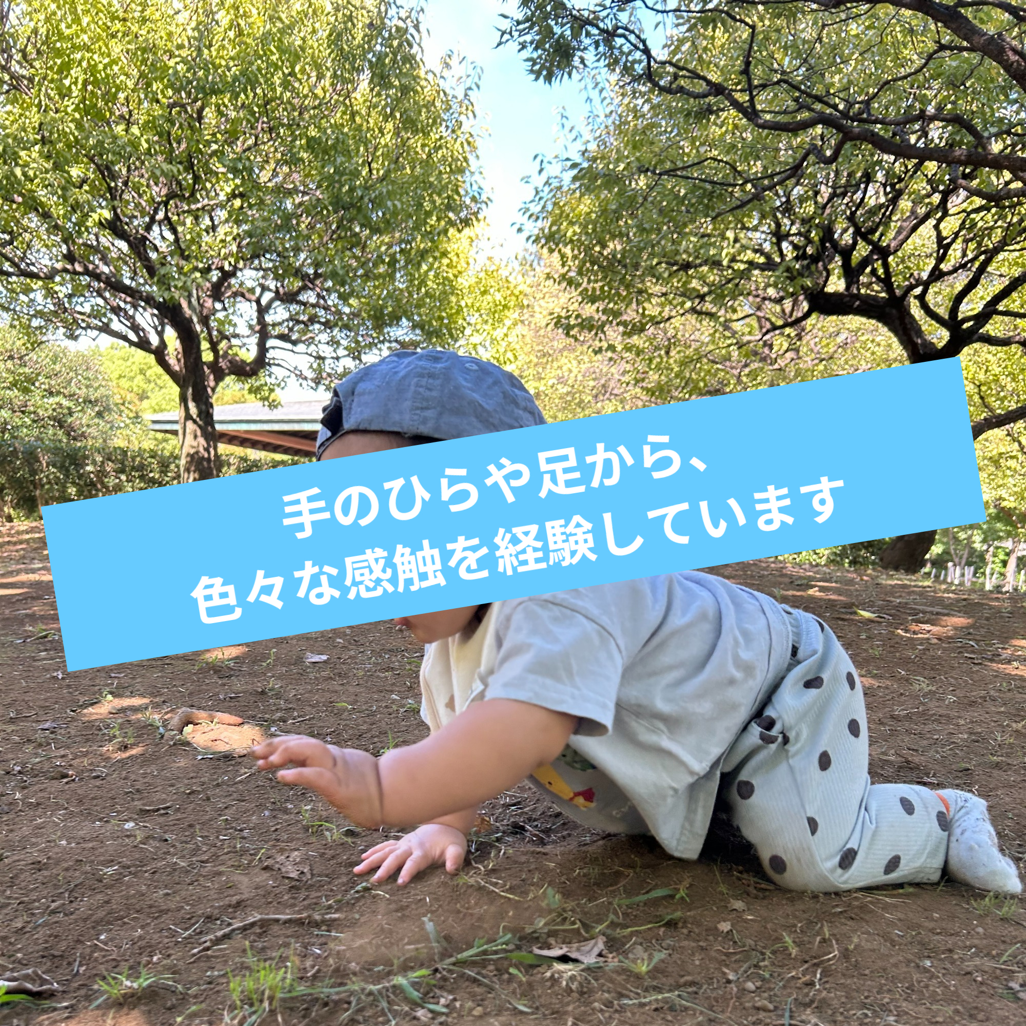 お米が出来るまでの話を聞いています