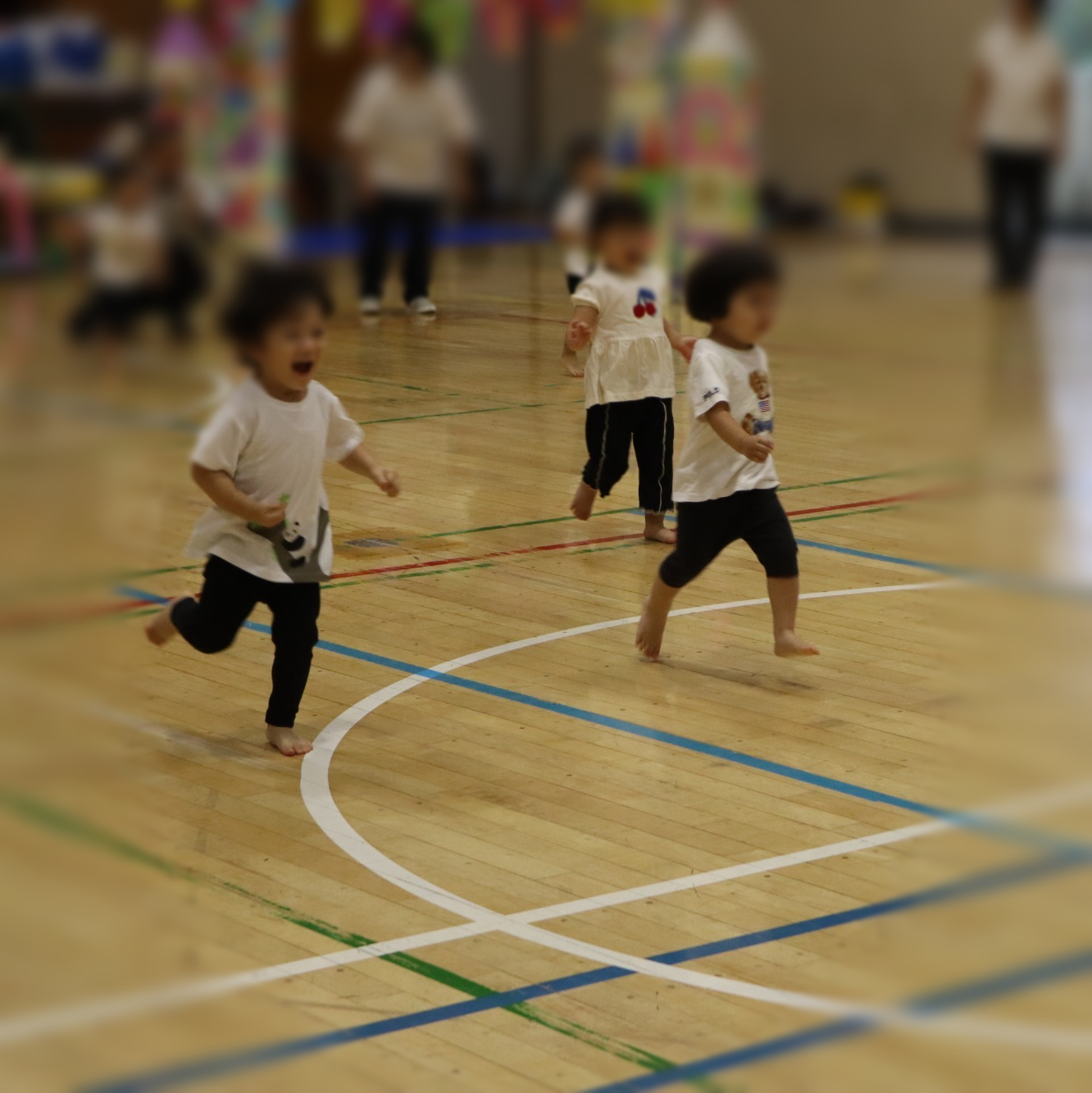 お米が出来るまでの話を聞いています