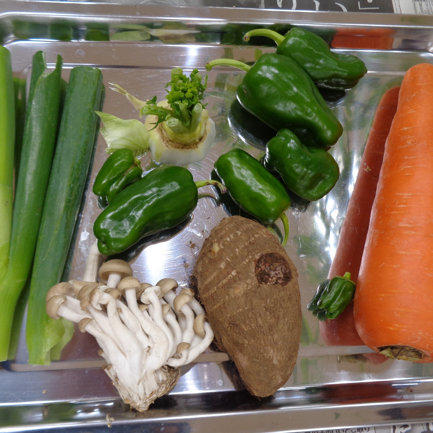 お米が出来るまでの話を聞いています