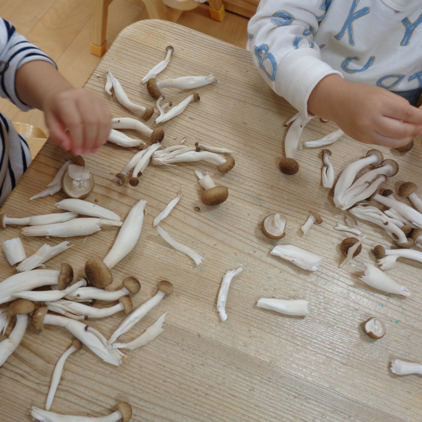 お米が出来るまでの話を聞いています