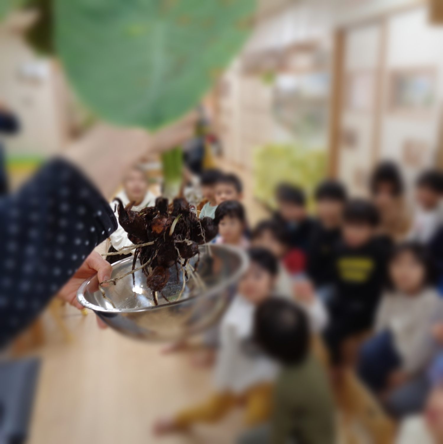 ♪　10回　ごしごし♪　「あっ　白くなってるよ」